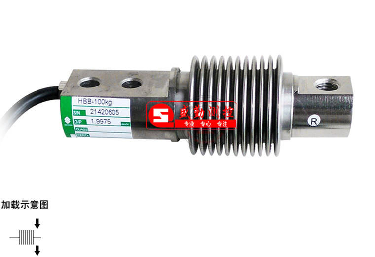 HBB-100kgQ(chng)؂